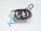   () 0.50 (1.6L) " Tpr"